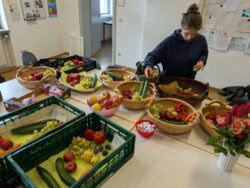 Nachhaltigkeitswoche 239