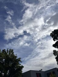 Schulanfang 09.25 207