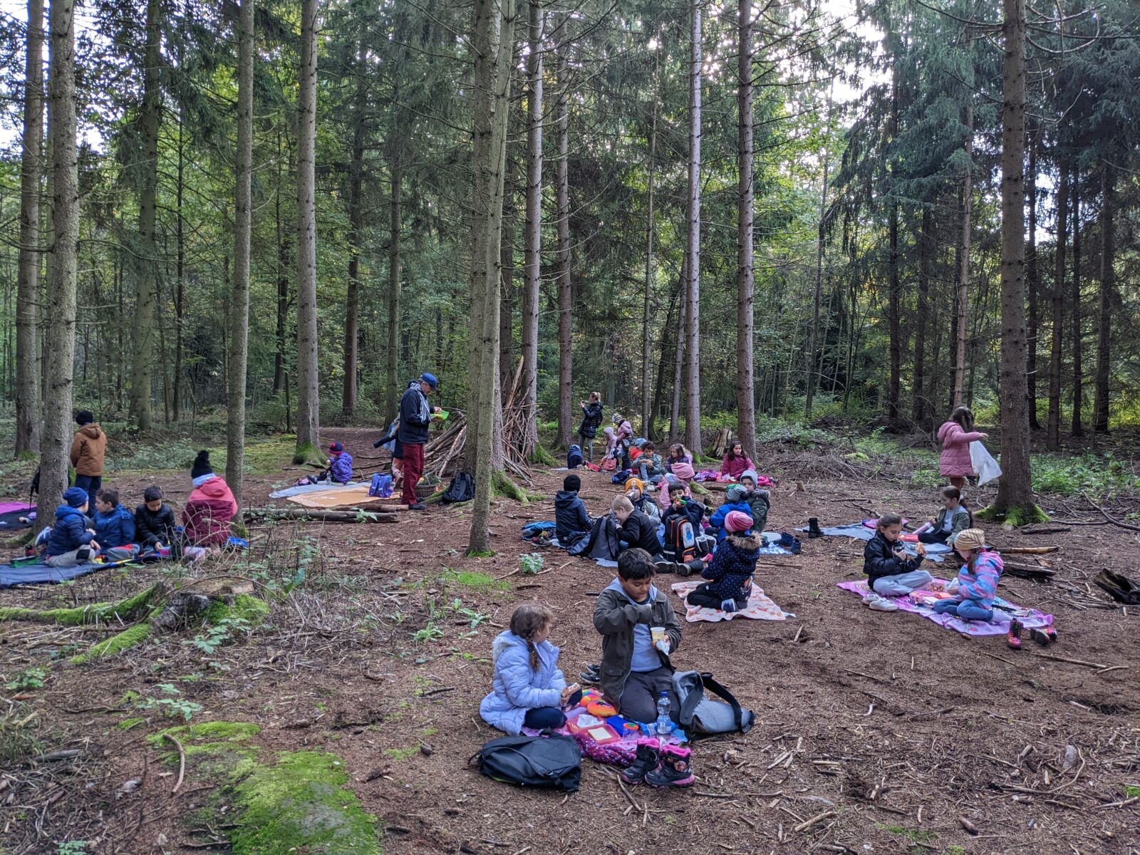 Herbst im Wald Pestalozzi Grundschule Regensburg